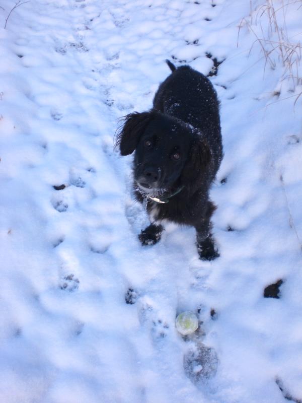 /Images/uploads/Humane Society of Utah/HSUCalendar/entries/967thumb.jpg
